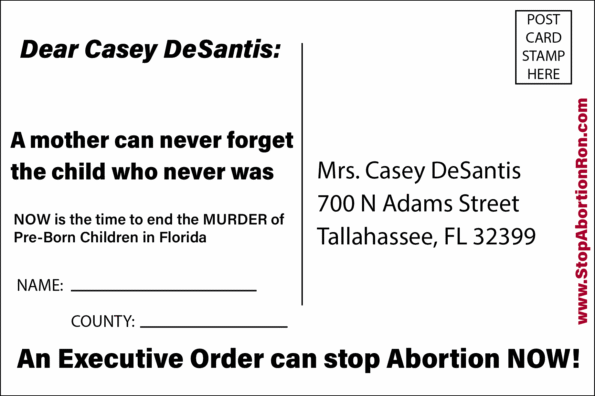 Casey DeSantis postcard - Image 2